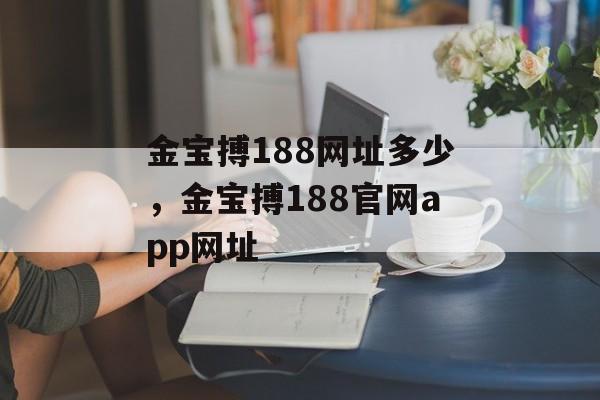 金宝搏188网址多少，金宝搏188官网app网址